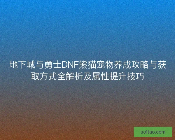 地下城与勇士DNF熊猫宠物养成攻略与获取方式全解析及属性提升技巧